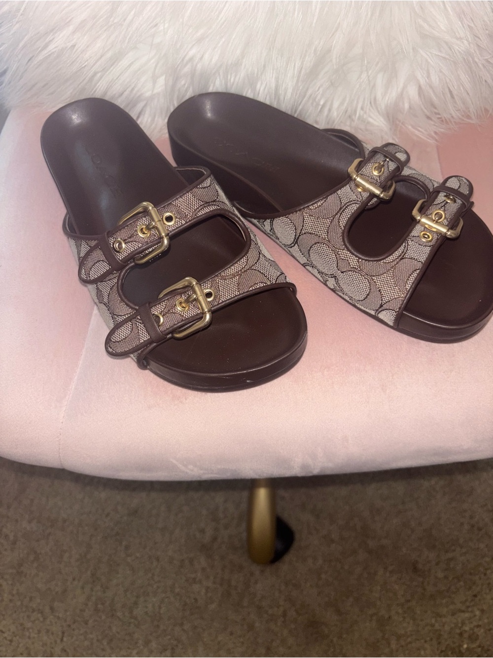 Coach Brown Signature Double-Buckle Slide Sandals with Gold Hardware - Picture 3 of 6